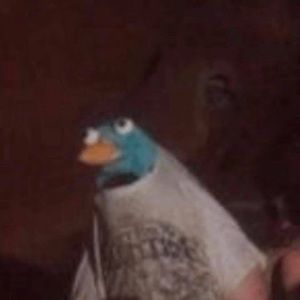 Meet your Posher, Frankie